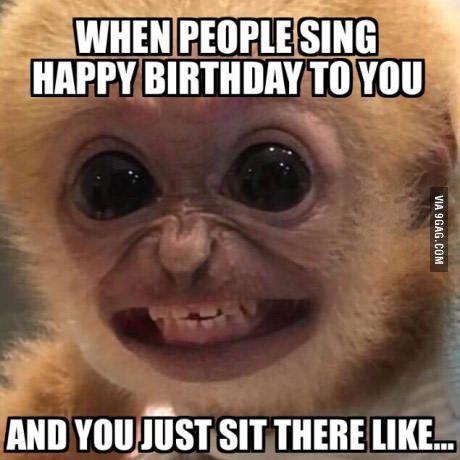 birthday memes