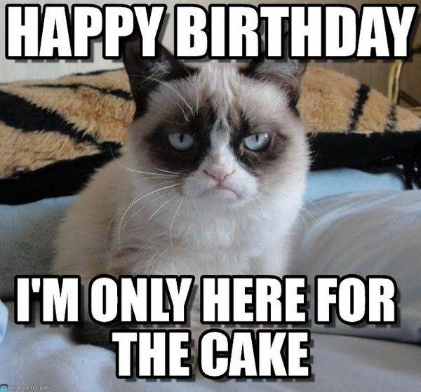 Most Funniest Birthday Memes :: Let's Insult People! - Latest Collection of Happy Birthday Wishes