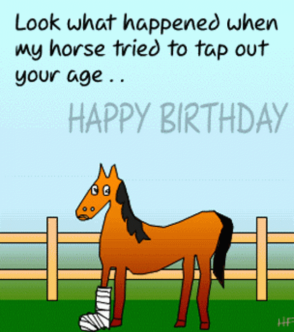 funny birthday memes