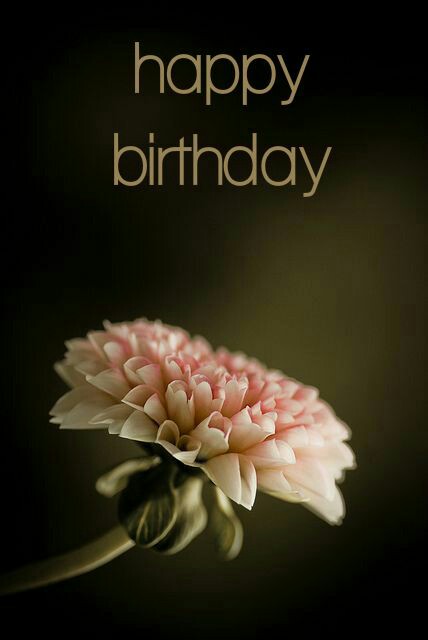 happy birthday wishes flower