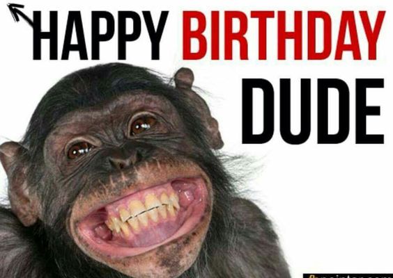 Hilariously Funny Happy Birthday Memes - Latest Collection of Happy Birthday  Wishes