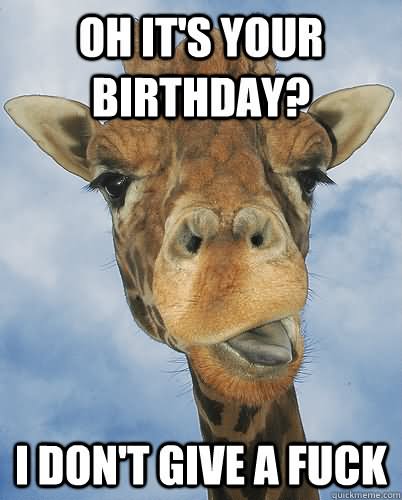 birthday meme funny