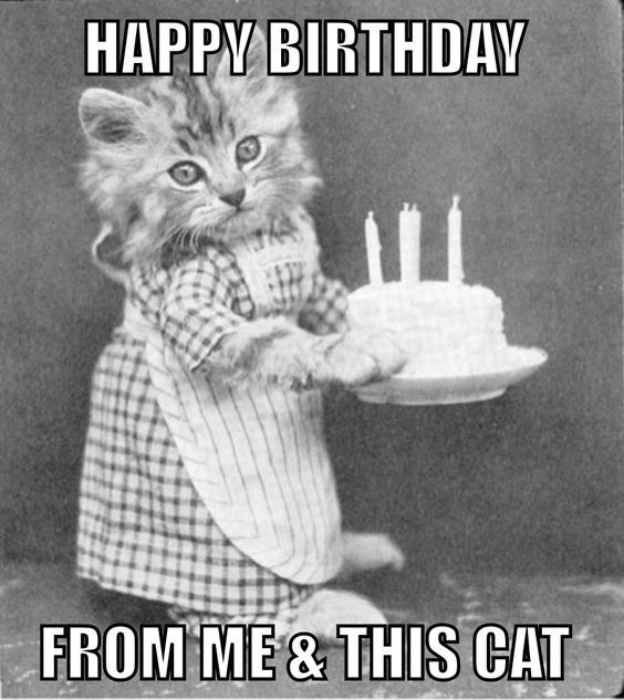 birthday memes