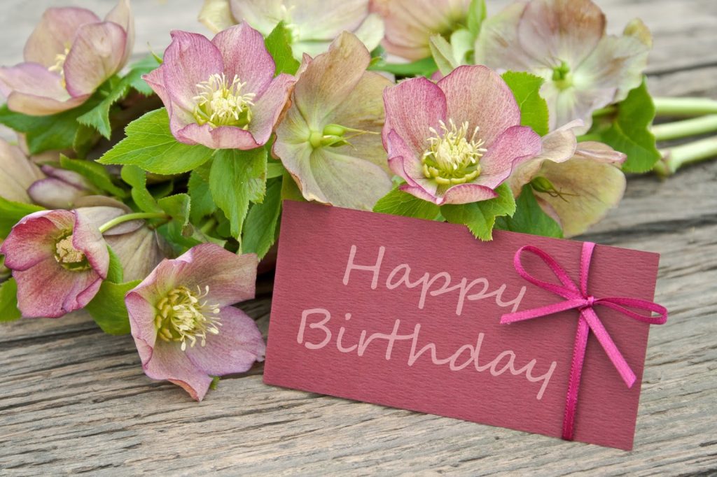 What Flowers Are Good For Birthdays | The Cake Boutique