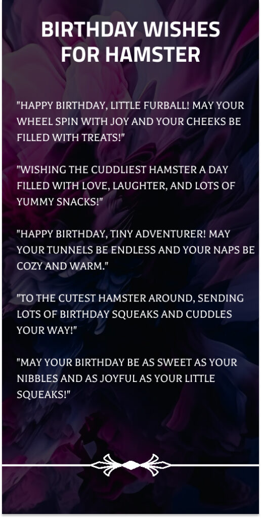 Birthday Wishes for Hamster