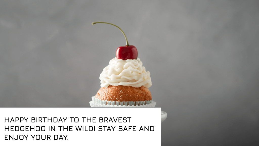 Birthday Wishes for baby Hedgehog
