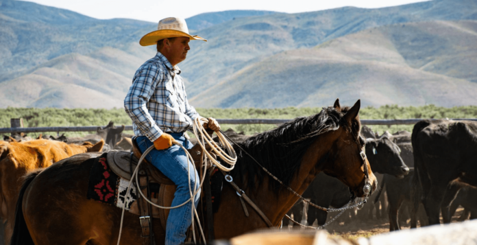 happy birthday wishes cowboy (1)