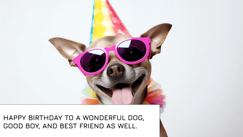 Happy Birthday My Dog Quotes