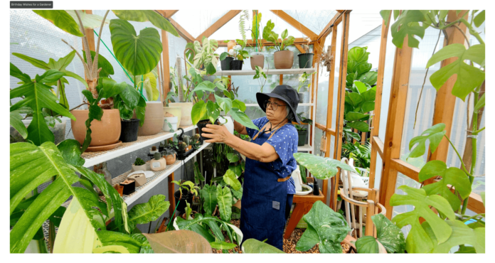 Birthday Wishes for a Gardener